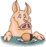für kleine Ferkel